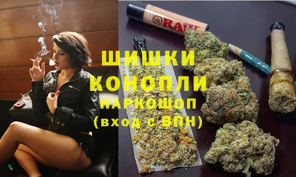 твердый Медногорск